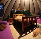 Aranyani Bison Adventure Tourist Park - New Castle Holiday