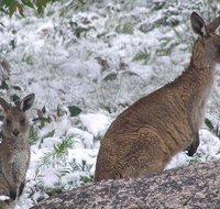 Barokee campground - New Castle Holiday