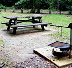 Bellbird campground - New Castle Holiday