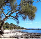 Currarong Beachside Holiday Park - New Castle Holiday