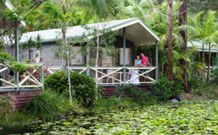 Darlington Beach NRMA Holiday Park - New Castle Holiday 4