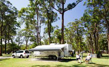 Darlington Beach NRMA Holiday Park - New Castle Holiday 6