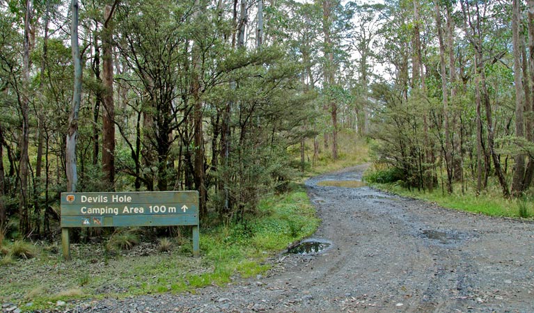 Barrington Tops NSW New Castle Holiday