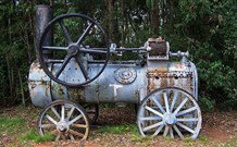 Dingo Tops Campground - New Castle Holiday 0