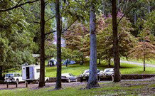 Dingo Tops Campground - New Castle Holiday 1