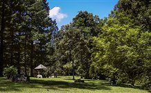 Dingo Tops Campground - New Castle Holiday 2