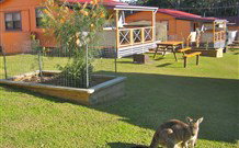 Durras Lake North Holiday Park - New Castle Holiday 1