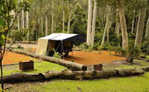 Durras Lake North Holiday Park - New Castle Holiday 5
