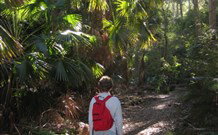 Durras Lake North Holiday Park - New Castle Holiday 7