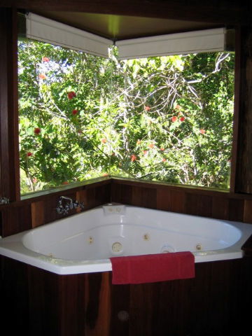 Rose Gums Wilderness Retreat - New Castle Holiday 3
