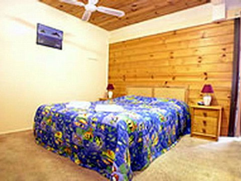 Shelly Beach Cabins - New Castle Holiday 1