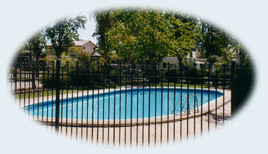 Sun City Caravan Park - New Castle Holiday