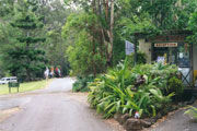 Tamborine Mountain Caravan & Camping - New Castle Holiday 0