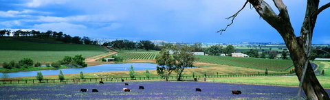 The Falls Retreat - New Castle Holiday 8