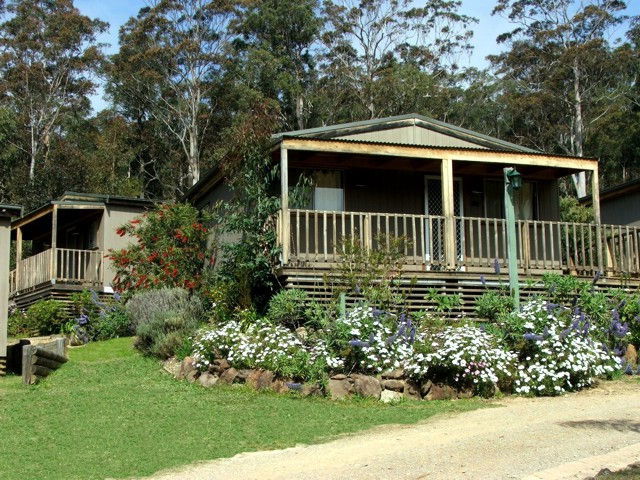 Mogo NSW New Castle Holiday