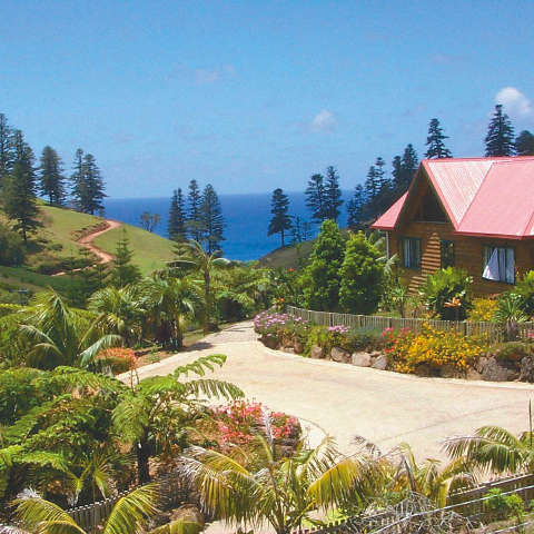 Tintoela Of Norfolk - New Castle Holiday 0