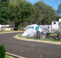 Wangaratta Caravan  Tourist Park - New Castle Holiday