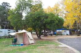 Wedderburn Pioneer Caravan Park - New Castle Holiday 0