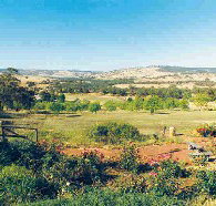 Pecan Hill Bed and Breakfast - New Castle Holiday