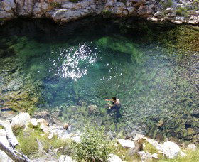 Lorella Springs Wilderness Park - New Castle Holiday 4