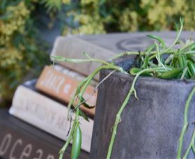 Bannisters Pavilion - New Castle Holiday 4