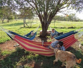 Childers Eco-lodge - New Castle Holiday 1