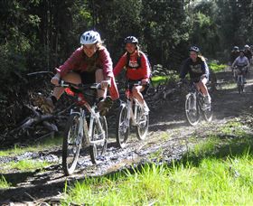 Charnwood - New Castle Holiday 0