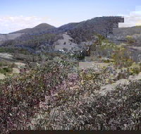 Blackbird Flat Camping Ground - New Castle Holiday