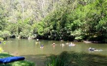 Ferndale Caravan Park - New Castle Holiday 3
