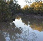Four Mile Camping Reserve - New Castle Holiday