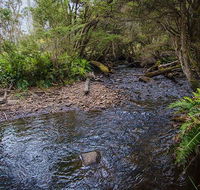 Horse Swamp campground - New Castle Holiday