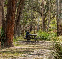 Koreelah Creek campground - New Castle Holiday