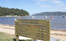 Patonga Camping Area - New Castle Holiday 3