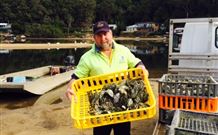 Patonga Camping Area - New Castle Holiday 2