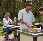Port Stephens Treescape - New Castle Holiday