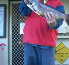 Rainbow Pines Tourist Caravan Park - New Castle Holiday