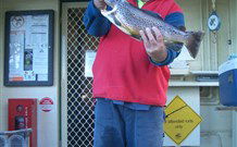 Rainbow Pines Tourist Caravan Park - New Castle Holiday 0
