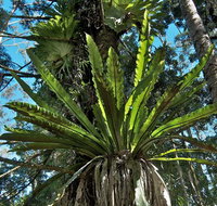 Rummery Park campground - New Castle Holiday