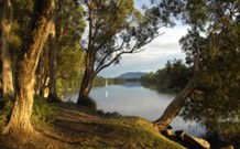 South West Rocks Tourist Park - South - New Castle Holiday 0