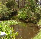 Tallowood Ridge B and B - New Castle Holiday