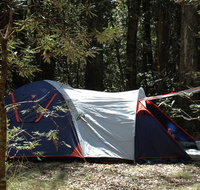 Thungutti campground - New Castle Holiday