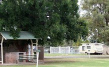 Warialda Caravan Park - New Castle Holiday 0