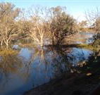 Warrawong on the Darling - New Castle Holiday