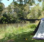 Williams River Holiday Park - New Castle Holiday