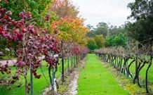 Peppers Convent Hunter Valley - New Castle Holiday 4