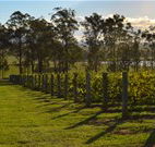 H Boutique Hotel - Pokolbin - New Castle Holiday