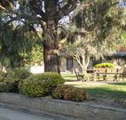 Hamilton Hume Motor Inn - Yass - New Castle Holiday