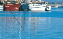 Iluka Motel - Iluka - New Castle Holiday 2