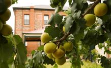 Imperial Fine Accommodation - Broken Hill - New Castle Holiday 7