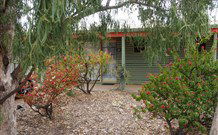 Lightning Ridge Outback Resort And Caravan Park - Lightning Ridge - New Castle Holiday 3
